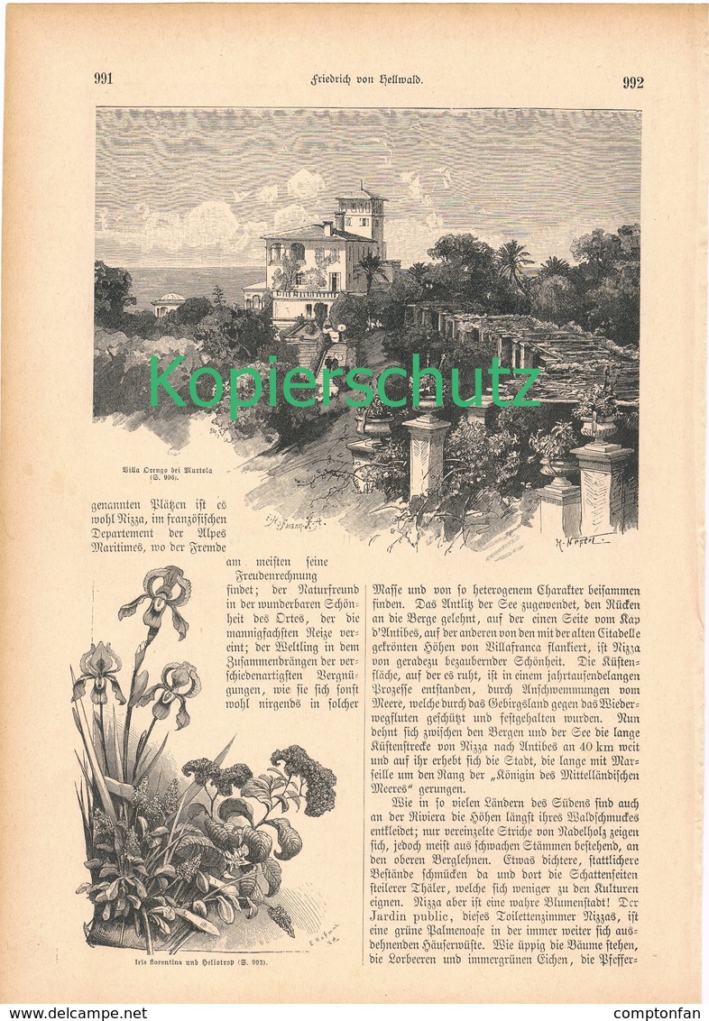 A102 147 Liguria Ligurien Ligurische Gestaden 1 Artikel Mit 18 Bildern Von 1886 !! - Sonstige & Ohne Zuordnung