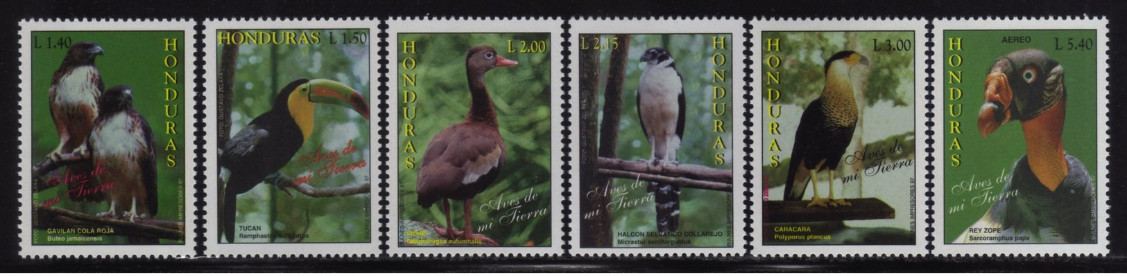 Honduras, Beautiful Series Birds Of My Land, 1997 Scott 380-385 MNH - Honduras