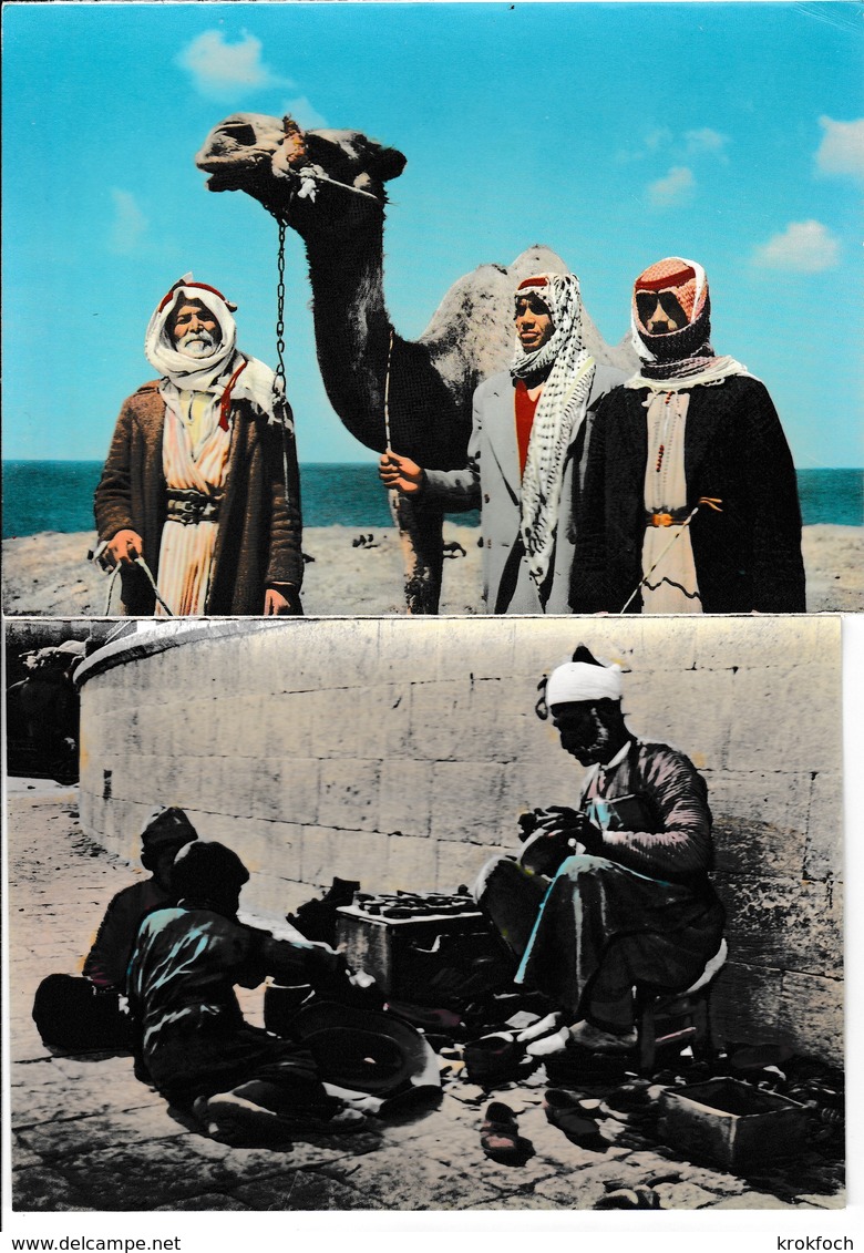 Shoe Repairer & Camel Drivers - Savetier & Chamelier - Liban - Liban