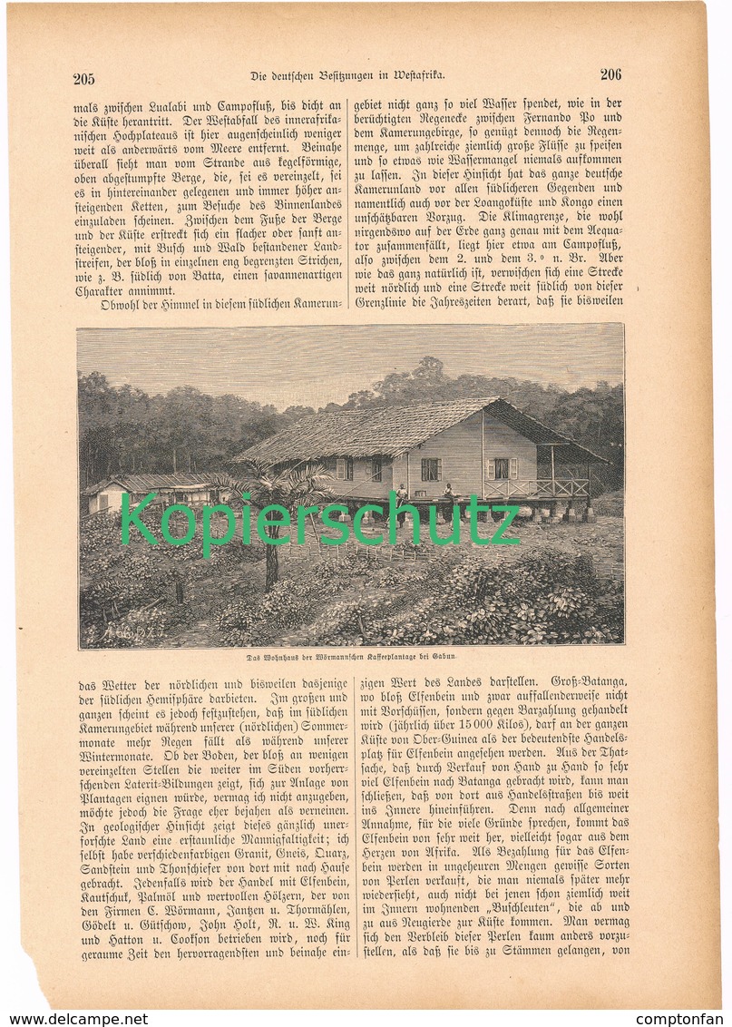 158 Kamerun König Acquas Westafrika 1 Artikel Mit 6 Bildern Von 1886 !! - Historische Dokumente