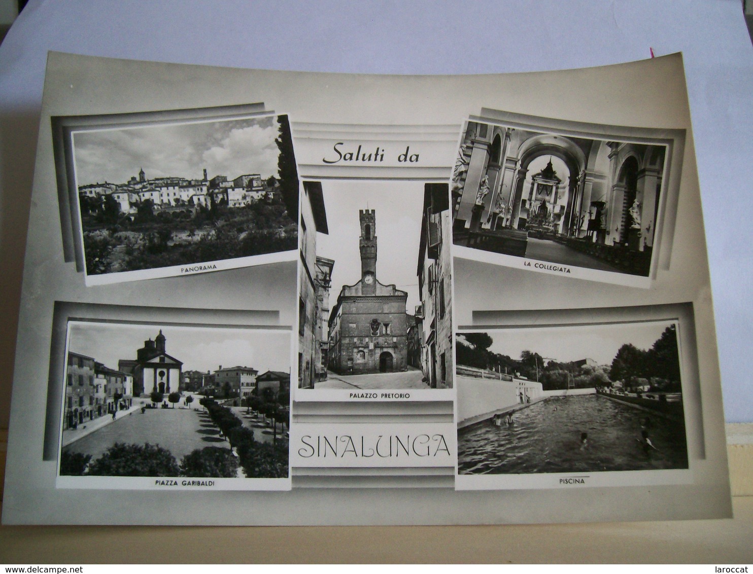 1958 - Siena - Saluti Da Sinalunga - Piazza Garibaldi - Palazzo Pretorio - Piscina - Panorama - Collegiata - Vera Fotogr - Gruss Aus.../ Grüsse Aus...