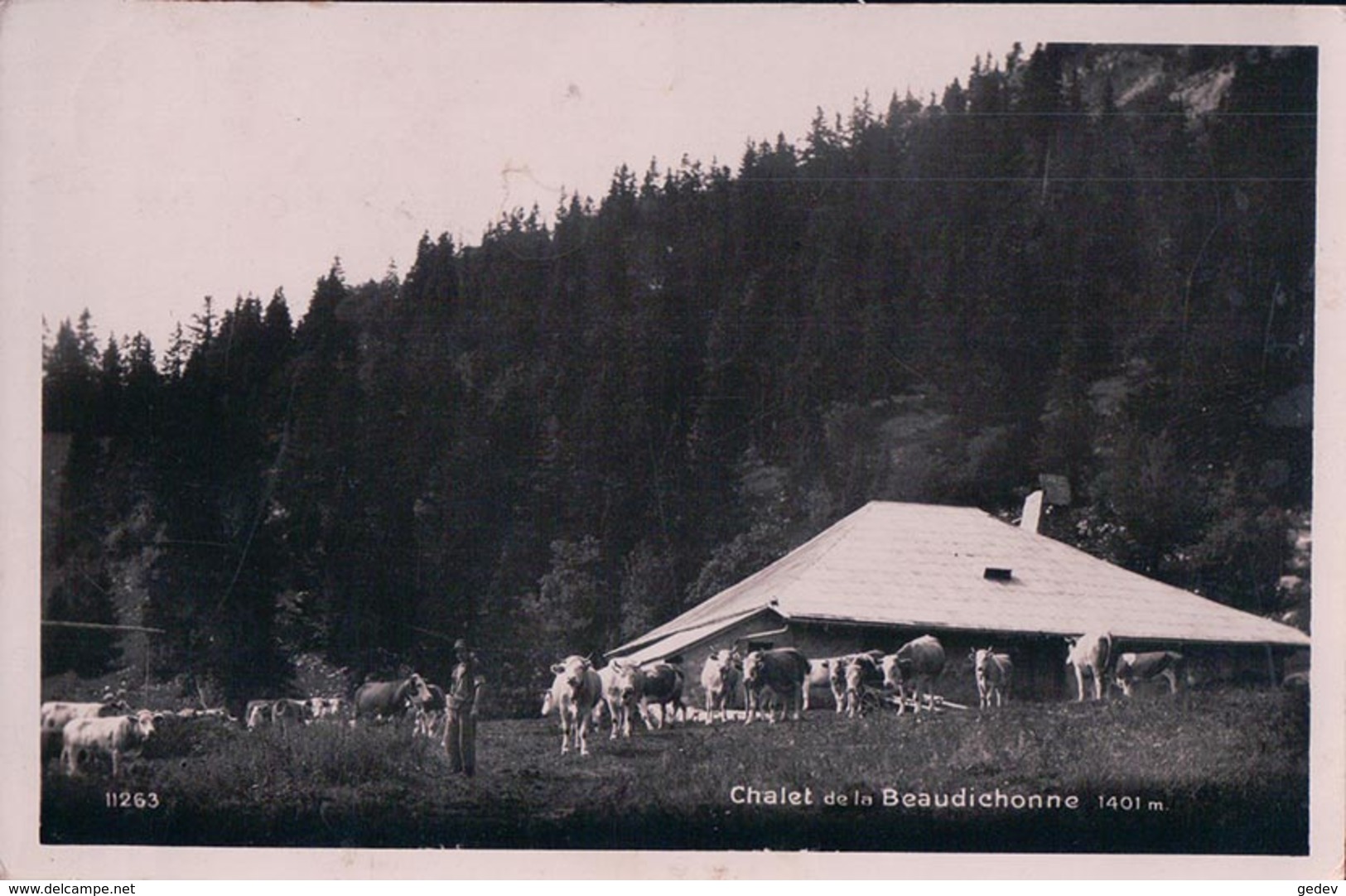 Chalet Et Troupeau De La Beaudichonne, La Rippe (11263) - La Rippe