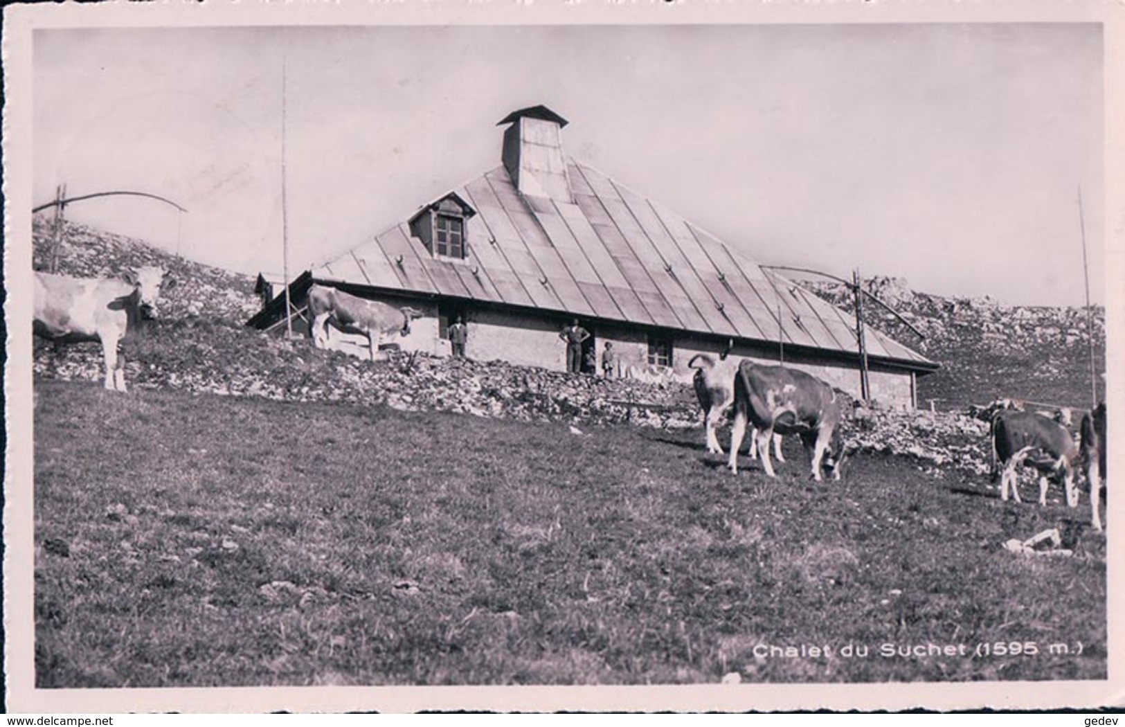 Chalet Du Suchet Et Troupeau + Tampon Du Chalet (7165) - Autres & Non Classés