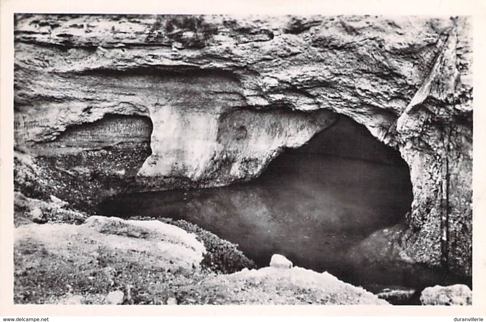 84 - La Fontaine De Vaucluse - La Source - Autres & Non Classés