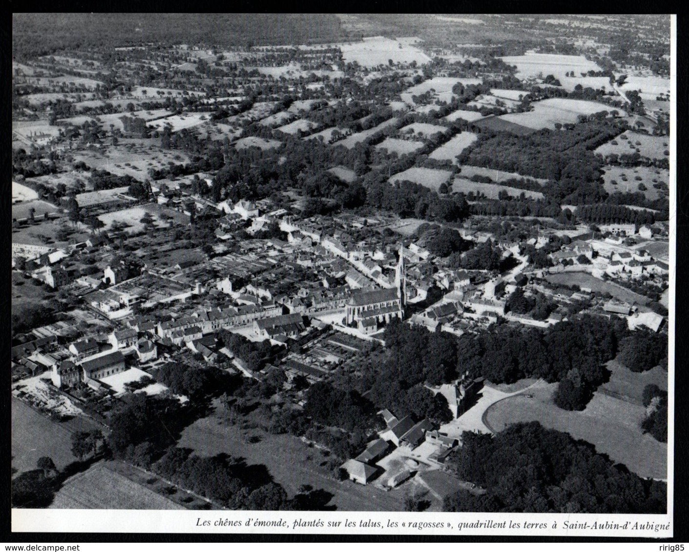 1965  --  SAINT AUBIN D AUBIGNE  VUE AERIENNE   3Q450 - Non Classés