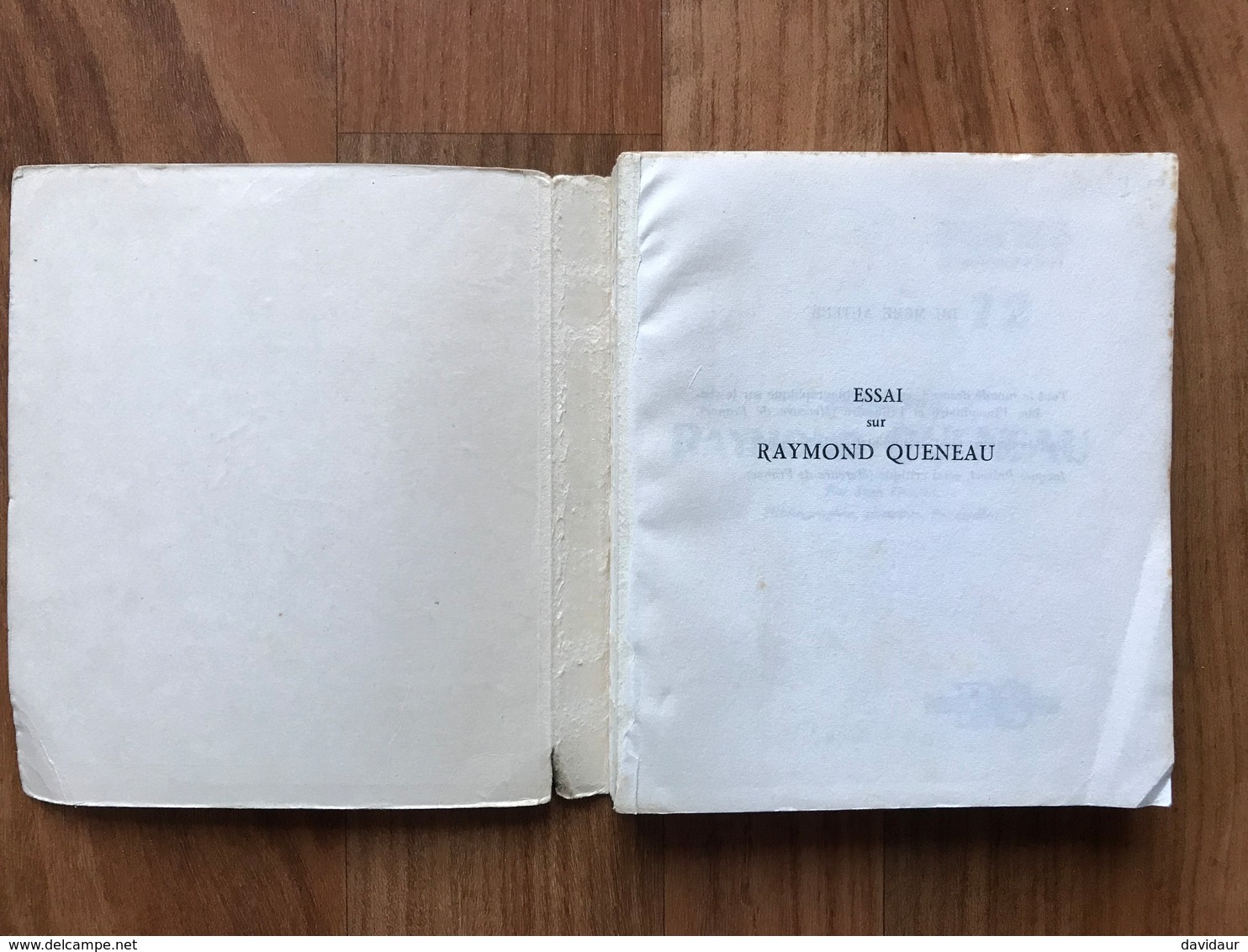 Essai Sur Raymond Queneau - Jean Queval - Biographie