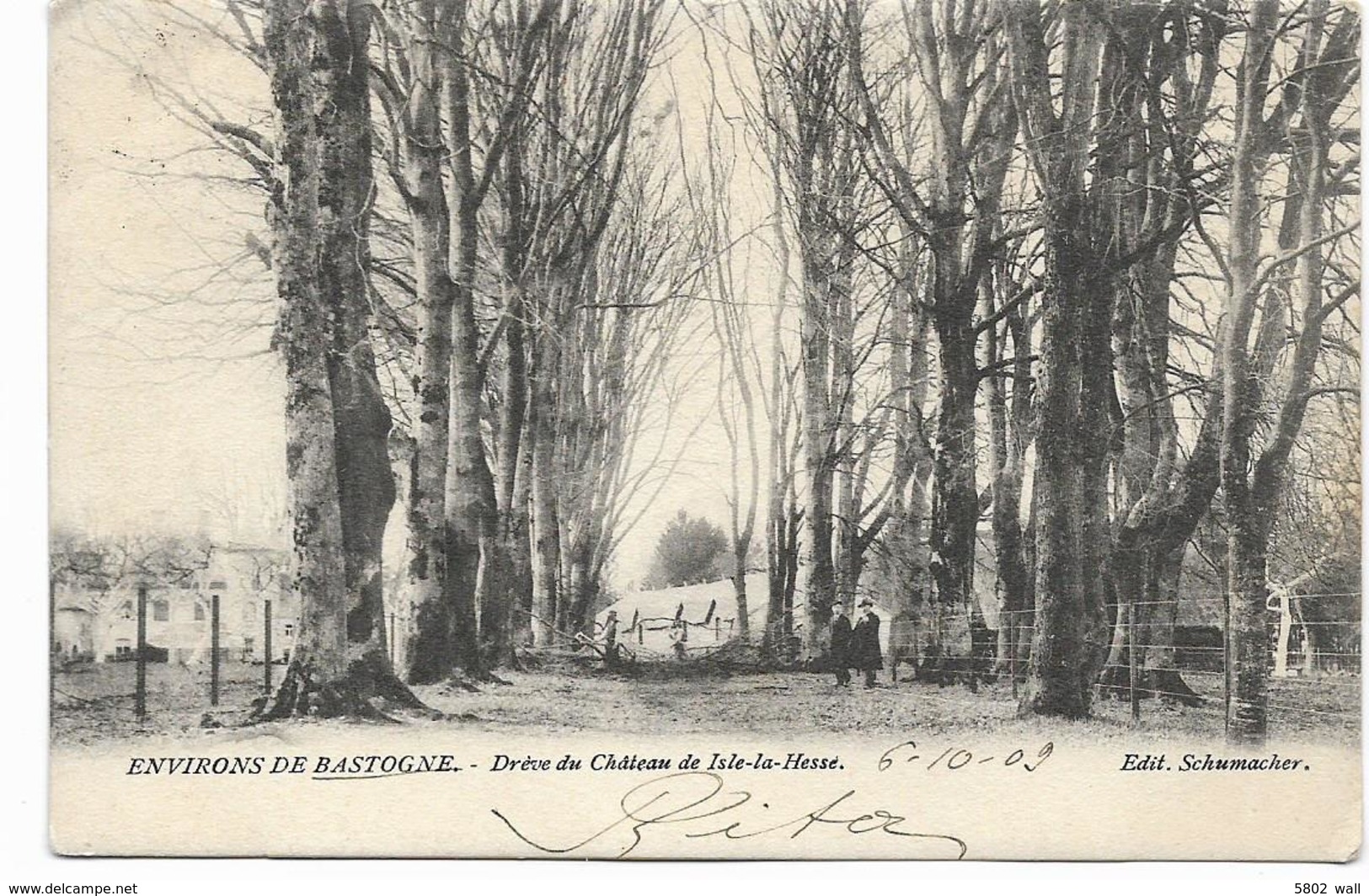 BASTOGNE : Drève Du Château De Isle-la-Hesse - 1909 - Bastogne