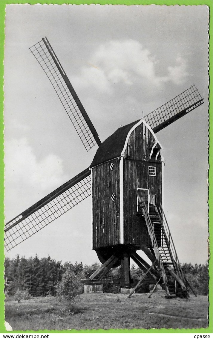 CPSM Pays-Bas - Hollandse Molen BUURSERZAND (HAAKSBERGEN) ** Windmill Mühle Molino Moulin à Vent - Haaksbergen