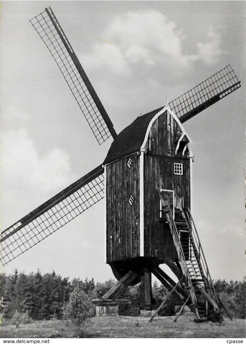 CPSM Pays-Bas - Hollandse Molen BUURSERZAND (HAAKSBERGEN) ** Windmill Mühle Molino Moulin à Vent - Haaksbergen