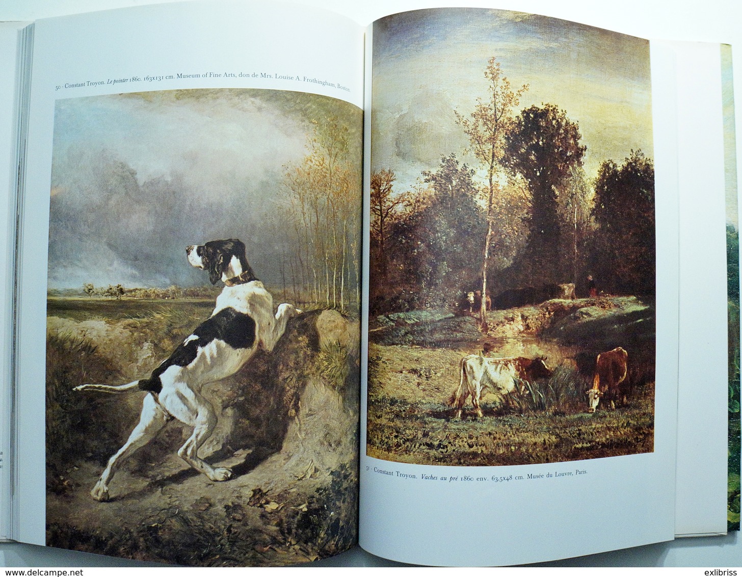 ECOLE De BARBIZON (Peintres Millet Daubigny Dupré Corot Rousseau ...) (D. DURBE - A. DAMIGELLA)  * Voir 5 Scans * /M14 - Art