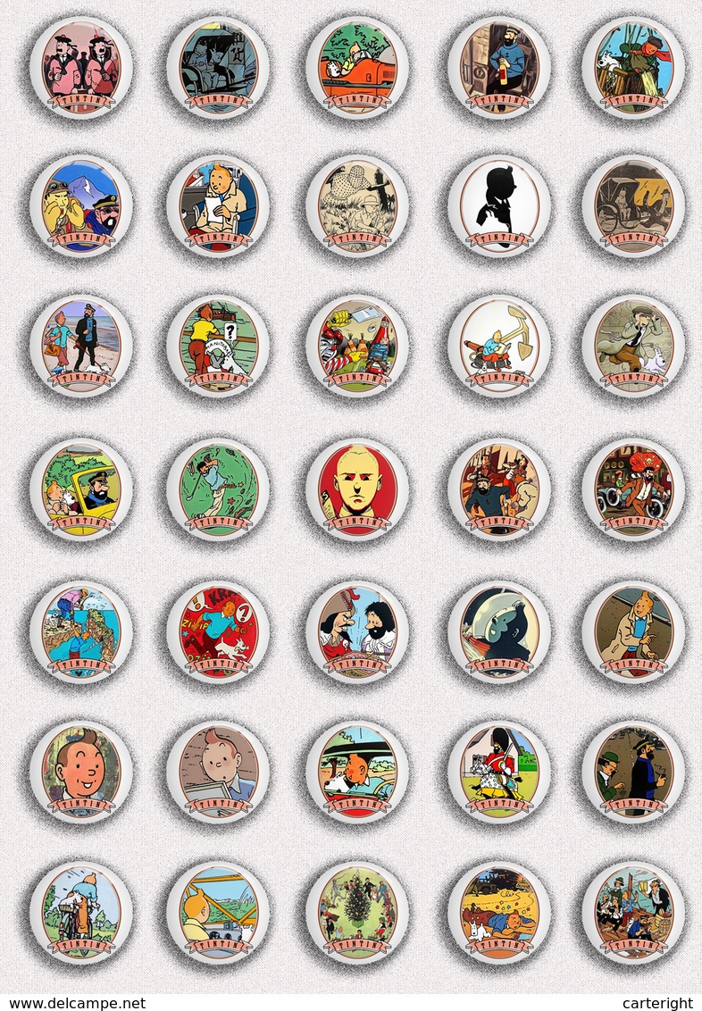 35 X TINTIN BADGE BUTTON PIN SET 5 (1inch/25mm Diameter) - Pin's