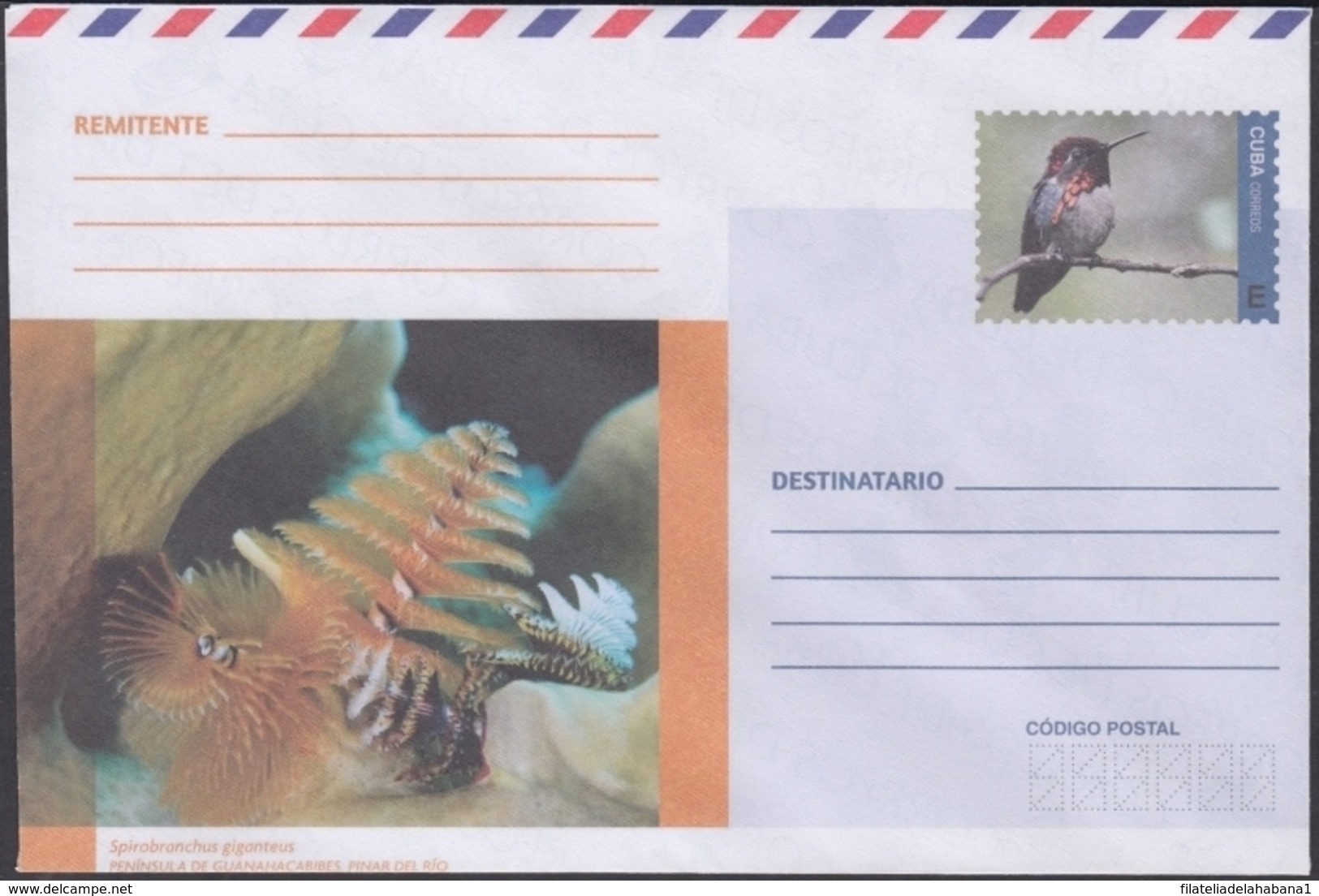 2018-EP-47 CUBA 2018 UNUSED INTERNACIONAL POSTAL STATIONERY. GUANAHACABIBES BIRD - Lettres & Documents