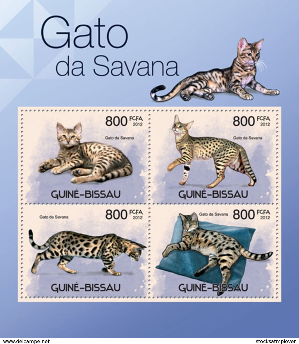 Guinea Bissau 2012 Fauna  Cats Of Savana - Guinea-Bissau
