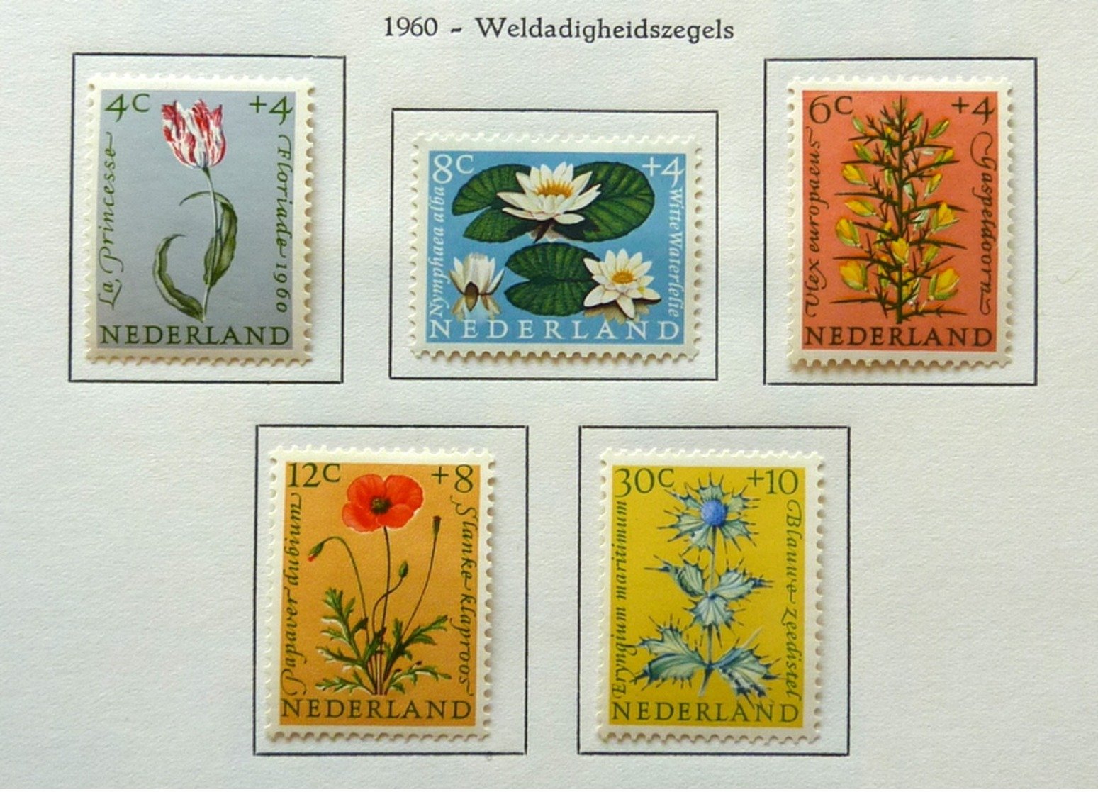 Netherlands+Overzee 1872-1961 in UNIE album Mint Hinged/Ongebruikt/neuf avec charniere/used/gebruikt/oblitere