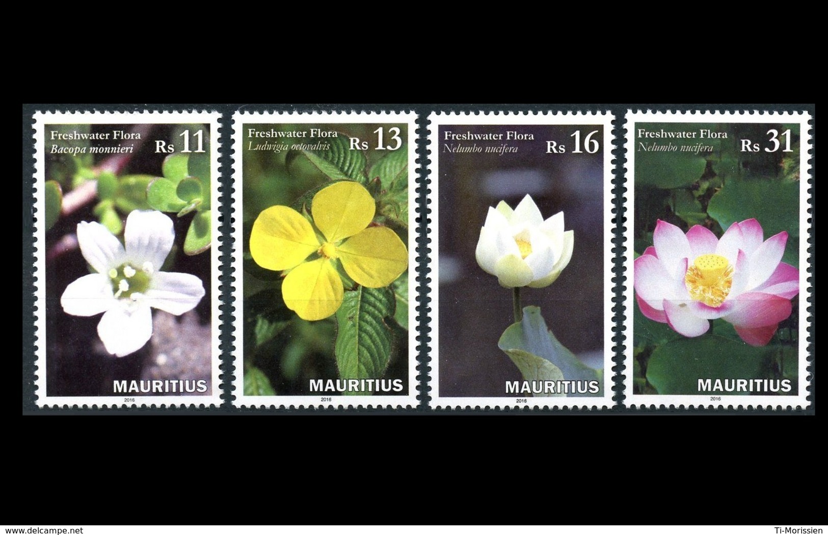 Mauritius 2016 Freshwater Flora 4v MNH Stamps Complete Set - Maurice (1968-...)
