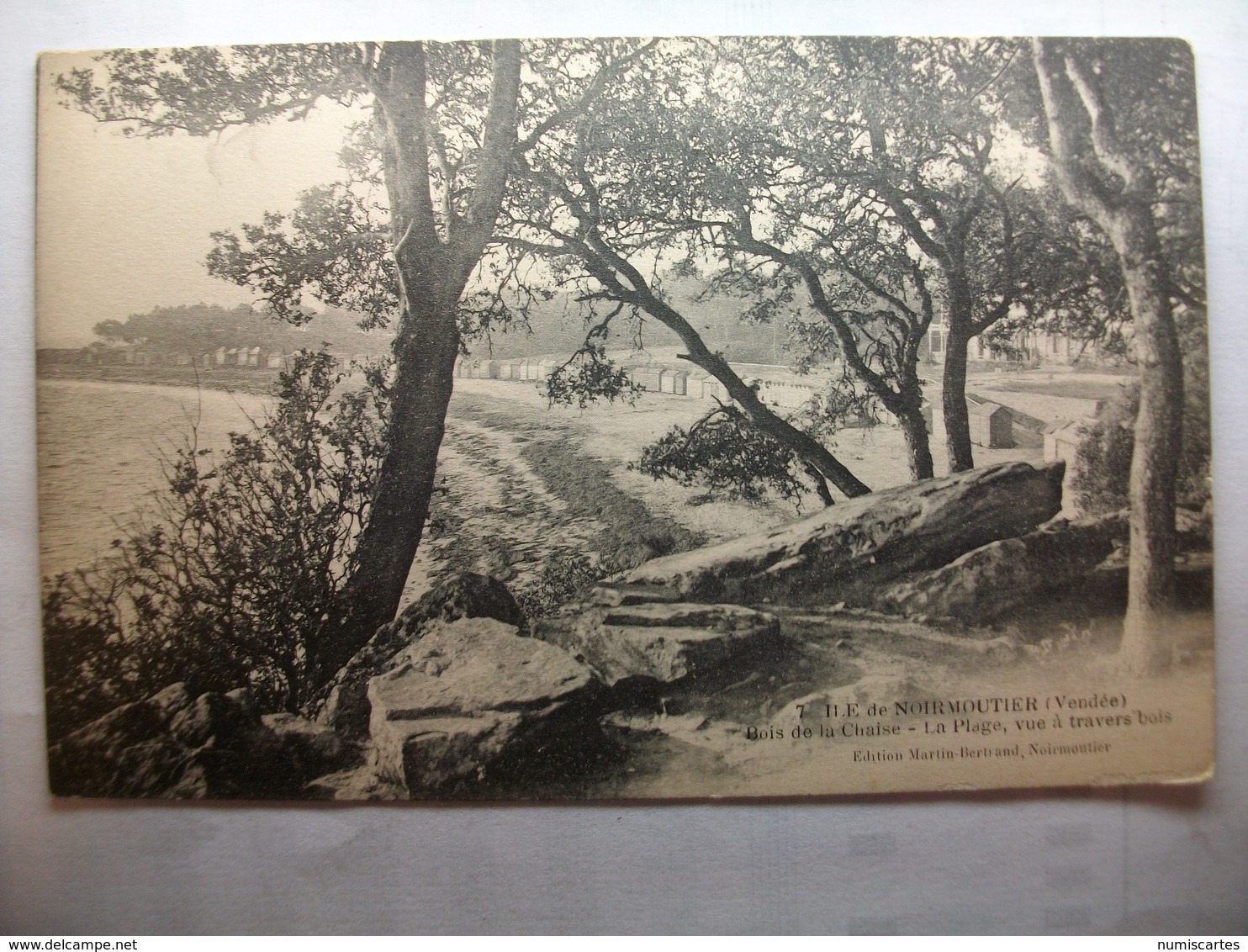 Carte Postale Noirmoutier (85) Bois De La Chaise - La Plage Vue A Travers Bois (Petit Format Noir Et Blanc Non Circulée) - Noirmoutier