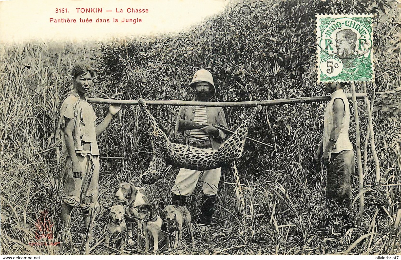 Tonkin - Cochinchine - Viêt-Nam - La Chasse - Panthère Tuée Dans La Jungle - Viêt-Nam