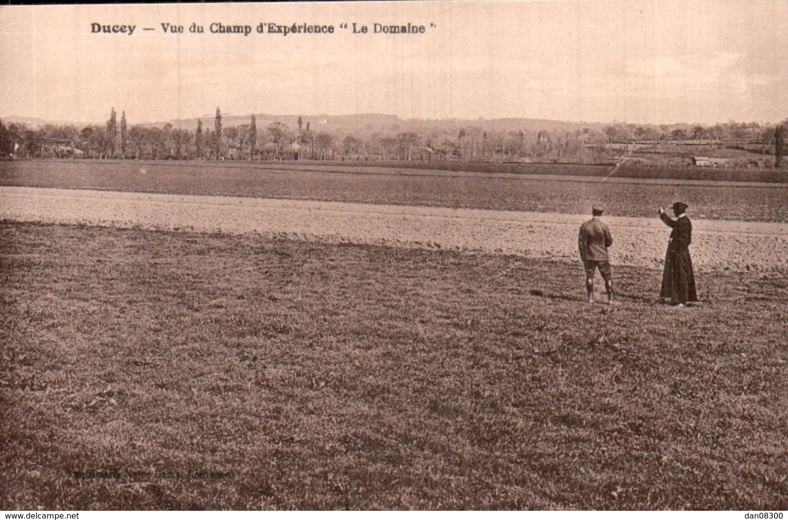 RARE  50 DUCEY VUE DU CHAMP D'EXPERIENCE LE DOMAINE ANIMEE CIRCULEE 1929 - Ducey