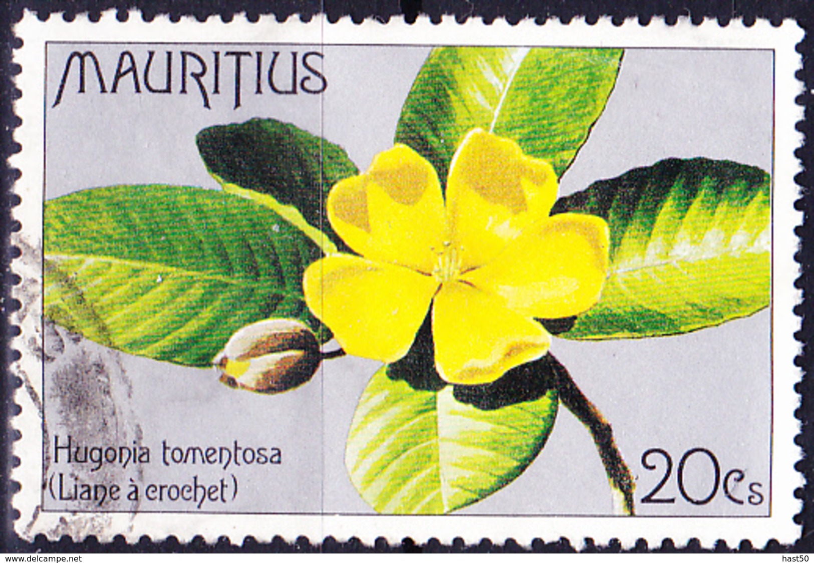 Mauritius - Liane (Hugonia Tomentosa) (Mi.Nr.: 428) 1977 - Gest. Used Obl. - Mauritius (1968-...)