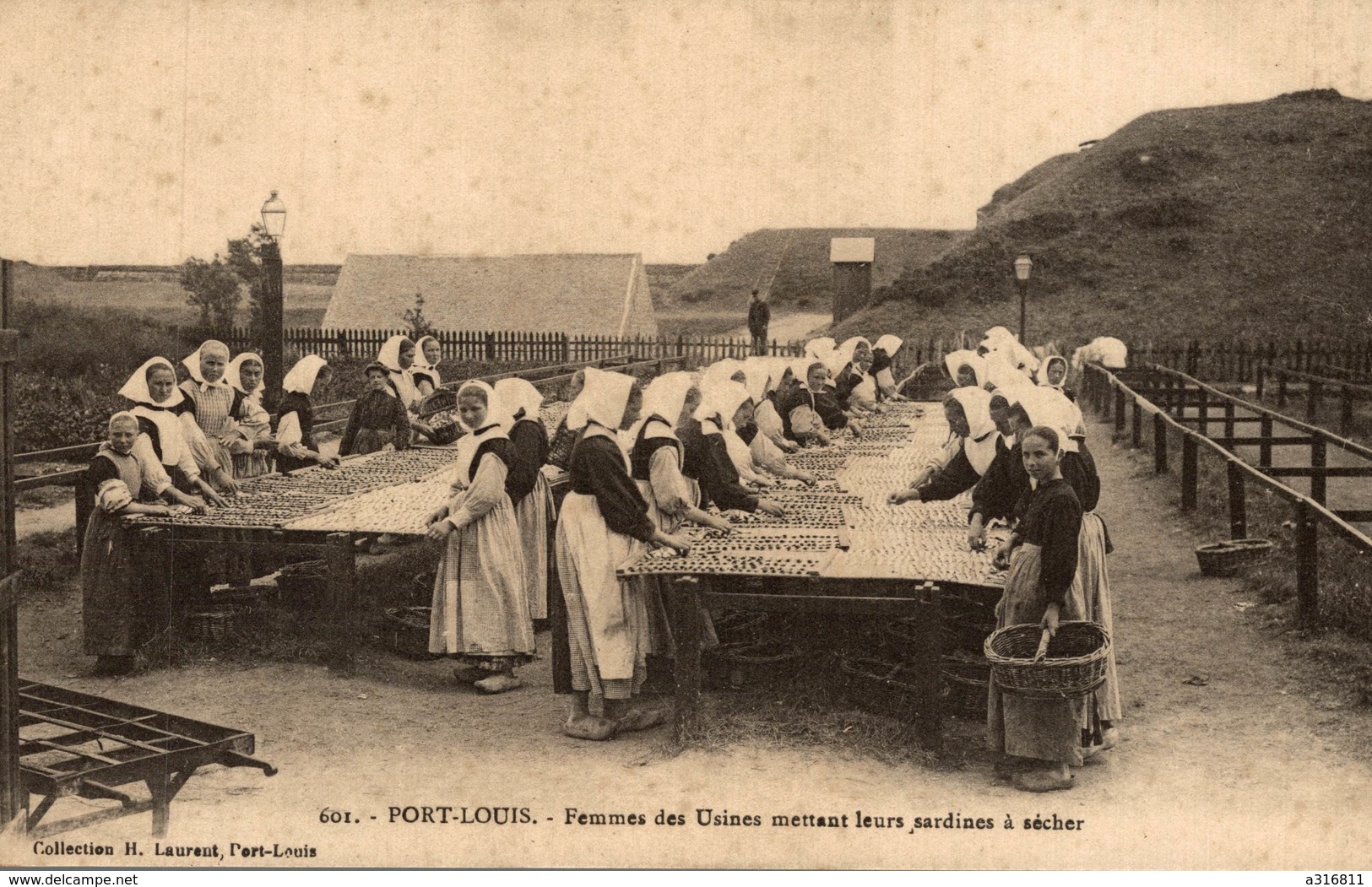 PORT LOUIS FEMMES DES USINES METTANT LEURS SARDINES A SÉCHER - Autres & Non Classés