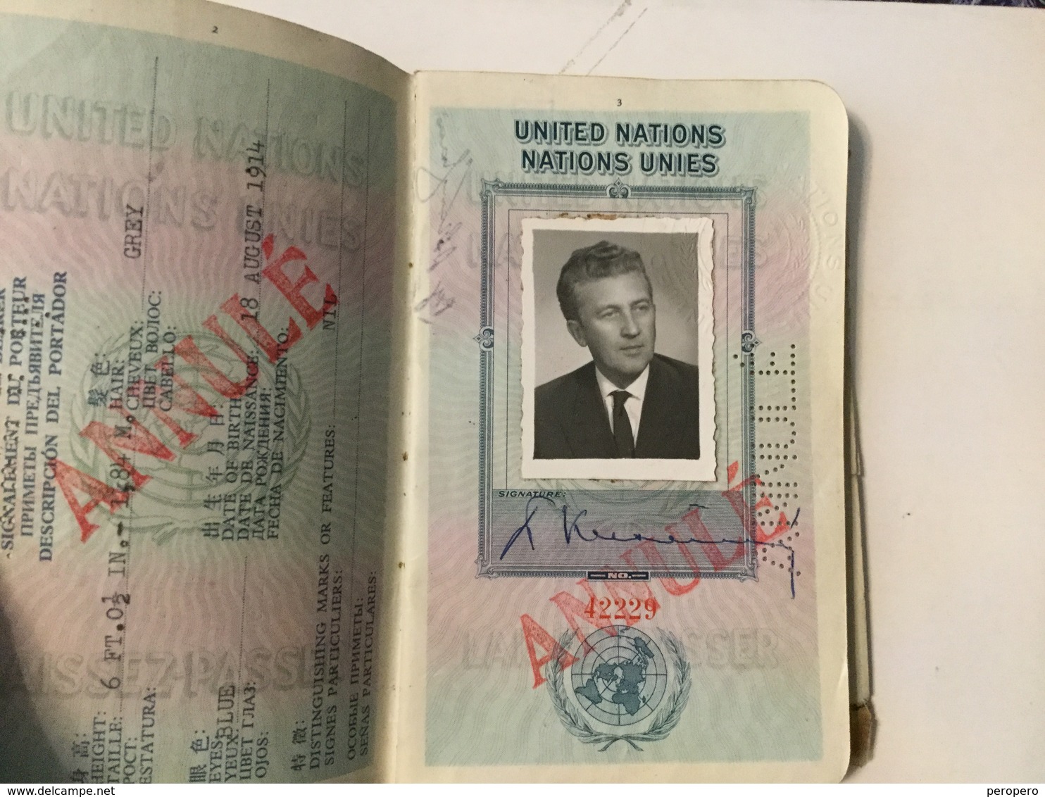 PASSPORT REISEPASS  PASSEPORT UNITED NATIONS LAISSEZ-PASSER VISA TO:IRAN,INDIA,AFGHANISTAN,LEBANON,TURKEY,THAILAND,BURMA - Historische Dokumente