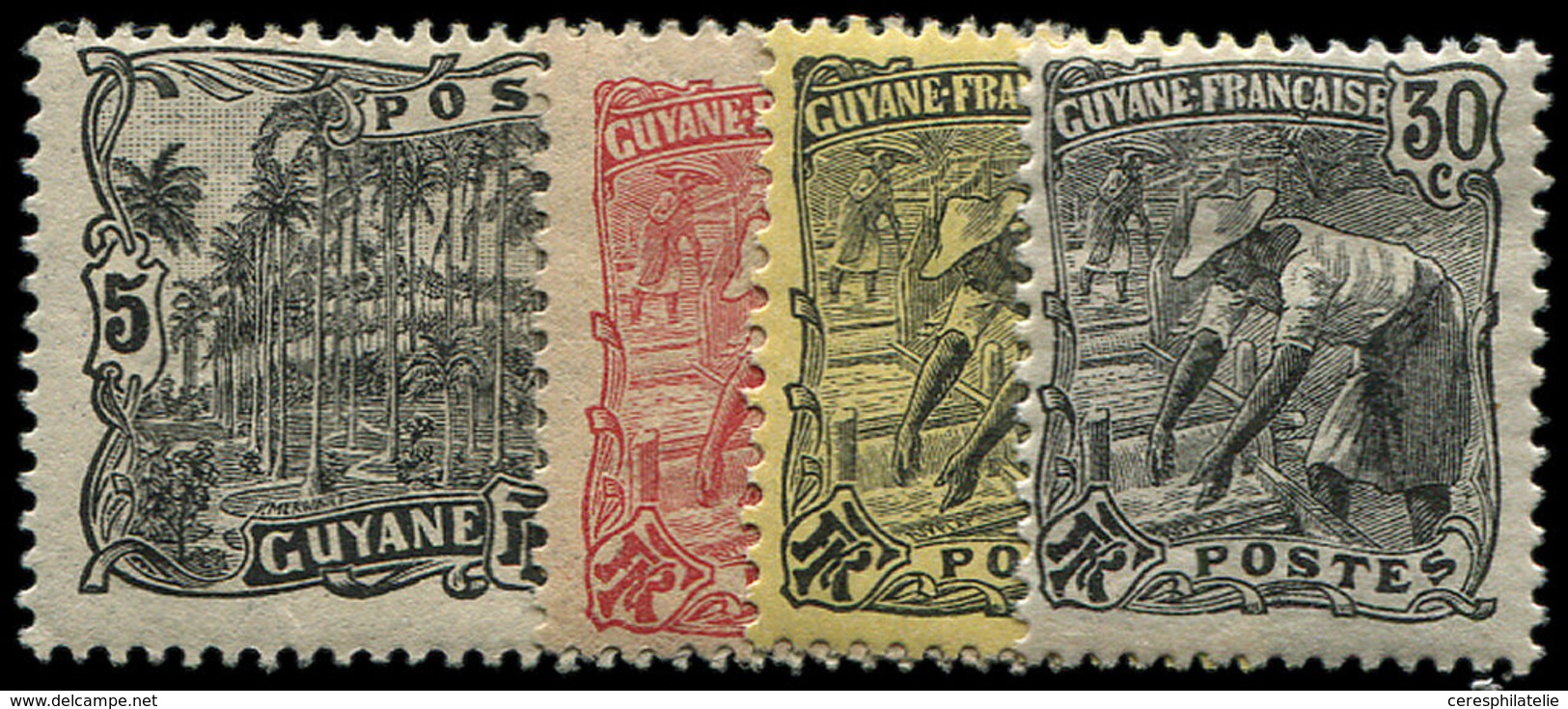 * GUYANE 49/65 : TB - Other & Unclassified