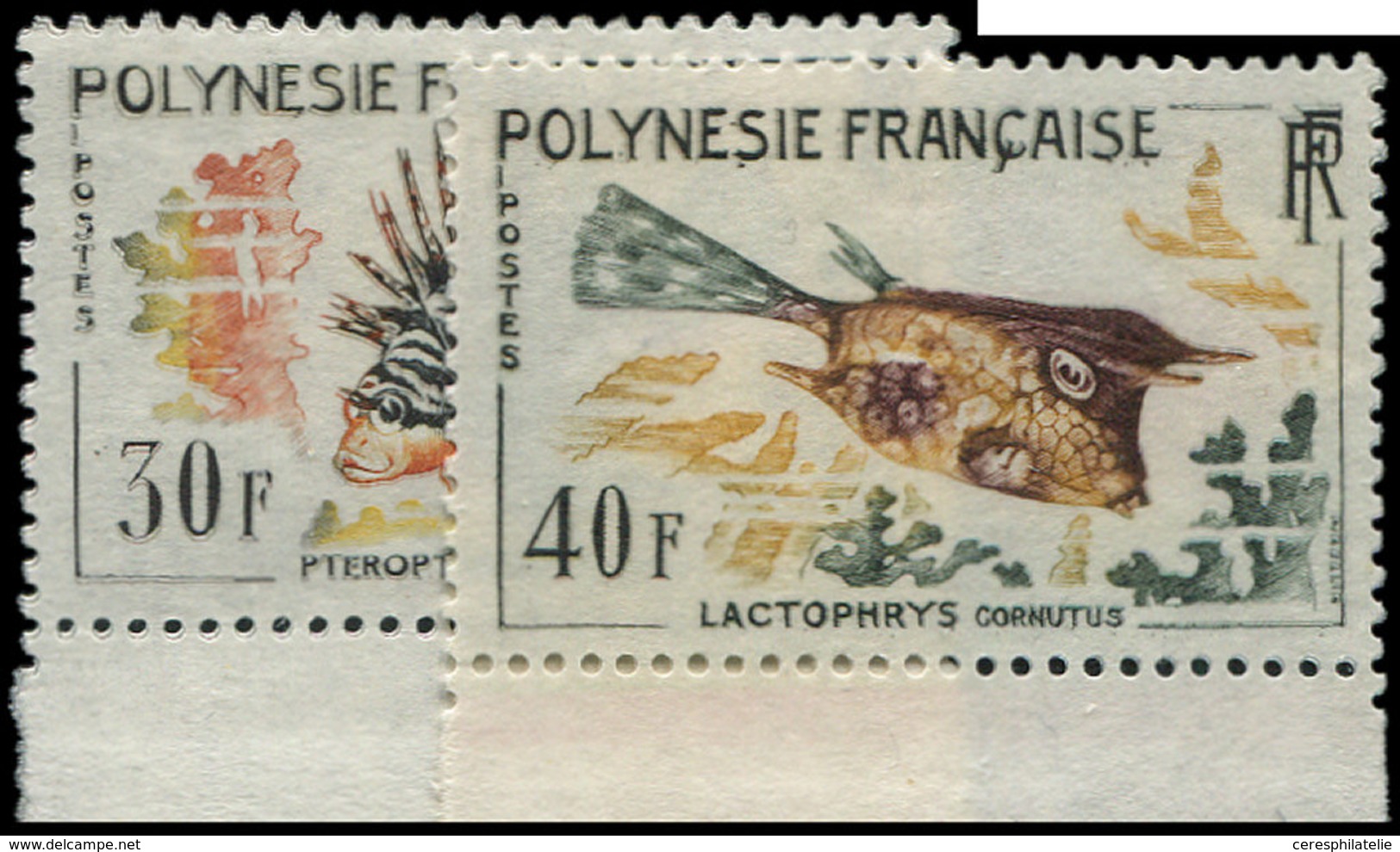 ** POLYNESIE FRANCAISE 18/21 : Poissons, La Série, Bdf, TB - Neufs