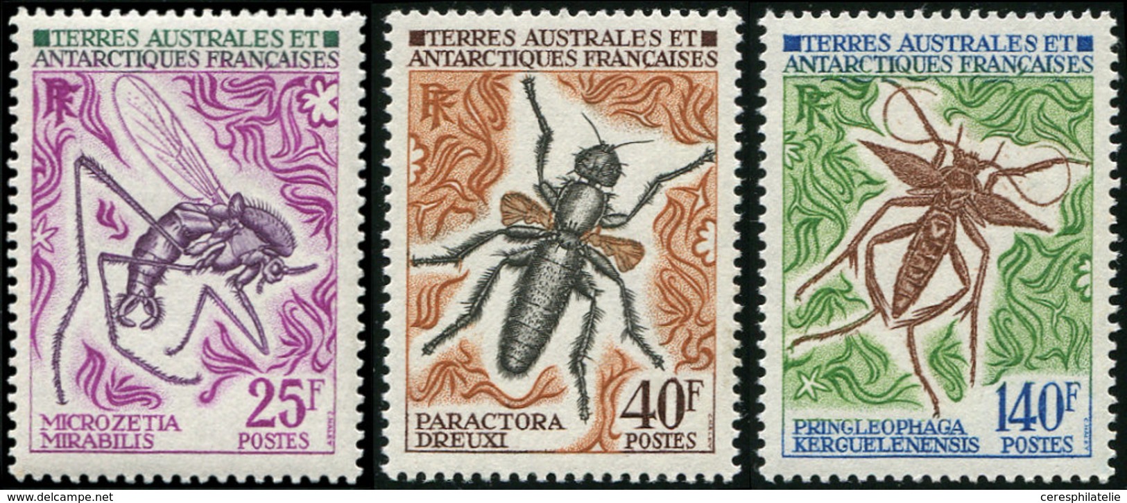 ** T.A.A.F. 40/42 : Série Insectes, TB - Unused Stamps