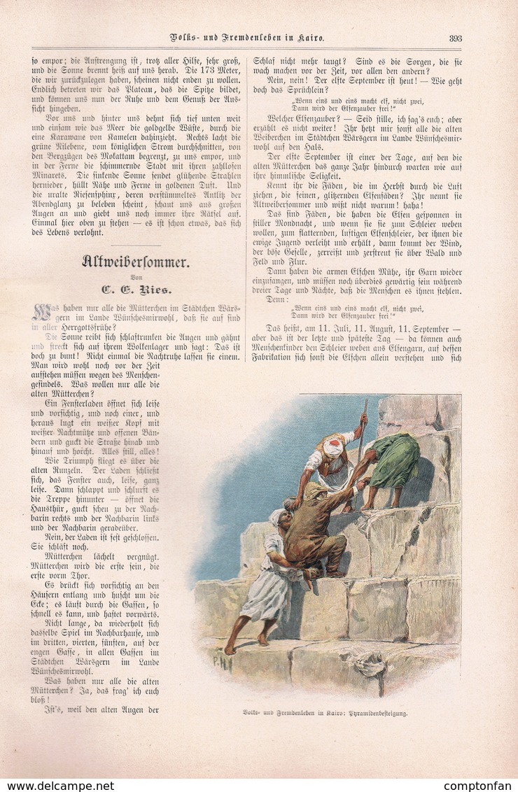 A102 167 Kairo Ägypten Deutscher Adel 2 Artikel Mit 8 Bzw. 13 Bildern Von 1897 !! - Sonstige & Ohne Zuordnung