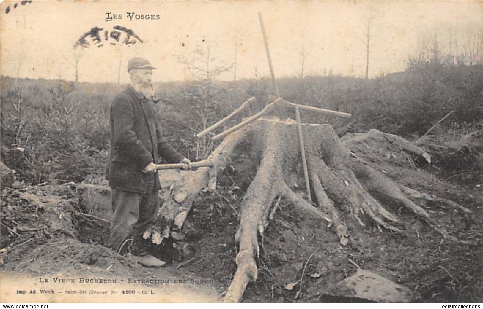 Vosges       88            Le Vieux Bûcheron.  Extraction Des Souches   (voir Scan) - Autres & Non Classés