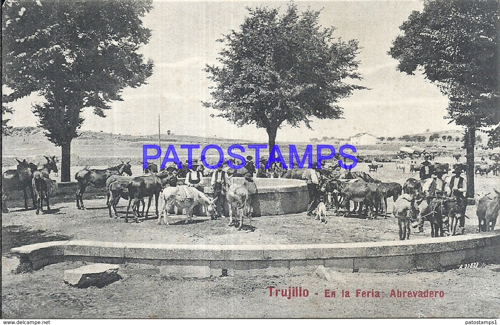 106543 SPAIN ESPAÑA TRUJILLO CACERES EN LA FERIA ABREVADERO POSTAL POSTCARD - Altri & Non Classificati