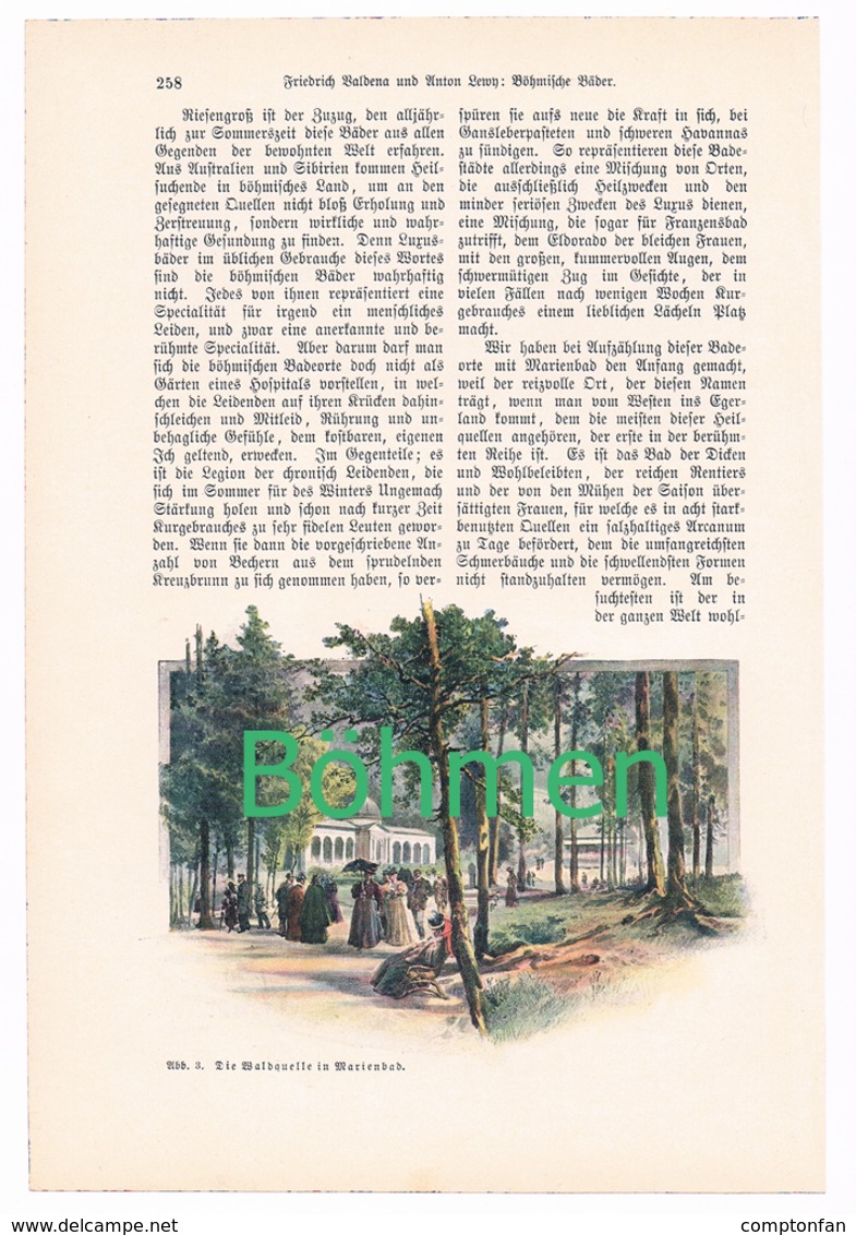 A102 248 Valdena Böhmische Bäder Böhmen Artikel Mit 12 Bildern Von 1897 !! - Sonstige & Ohne Zuordnung