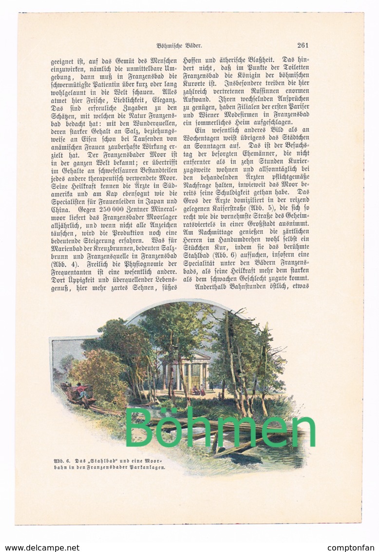 A102 248 Valdena Böhmische Bäder Böhmen Artikel Mit 12 Bildern Von 1897 !! - Sonstige & Ohne Zuordnung