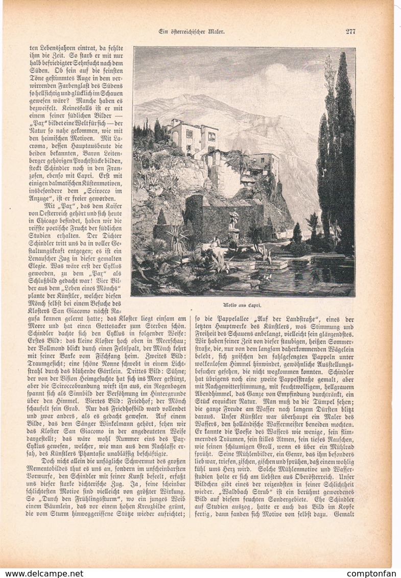 a102 255 Jakob Emil Schindler Österr.Maler Artikel mit 6 Bildern von 1894 !!