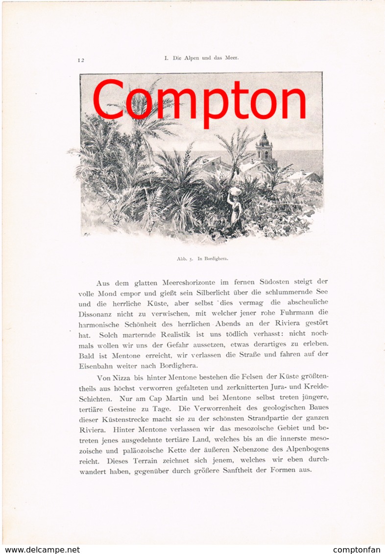 268 - E.T.Compton Paul Hey Riviera Artikel Mit 7 Bildern 1896 !! - Autres & Non Classés