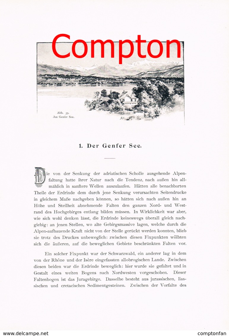 A102 275 - E.T.Compton Paul Hey Genfer See Genf Artikel Mit 9 Bildern 1896 !! - Autres & Non Classés