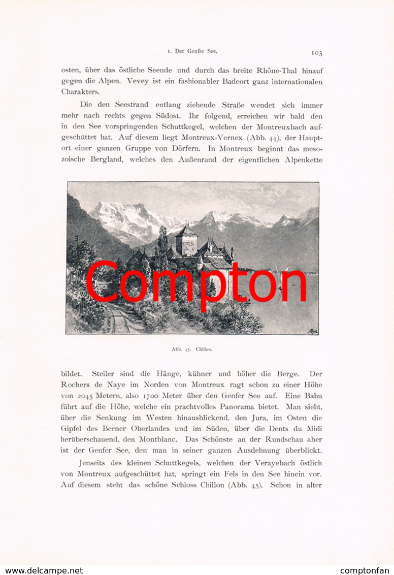 a102 275 - E.T.Compton Paul Hey Genfer See Genf Artikel mit 9 Bildern 1896 !!