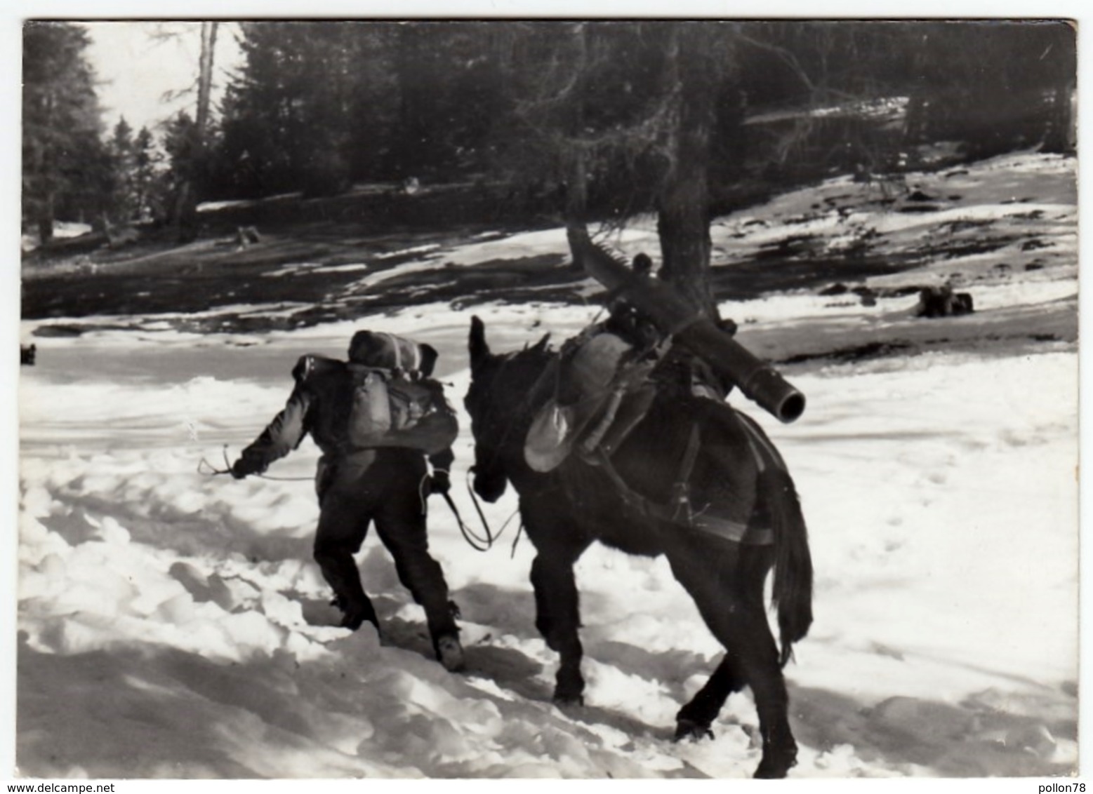 MILITARI - ALPINI - ARTIGLIERIA ALPINA - 1969 - Vedi Retro - Reggimenti