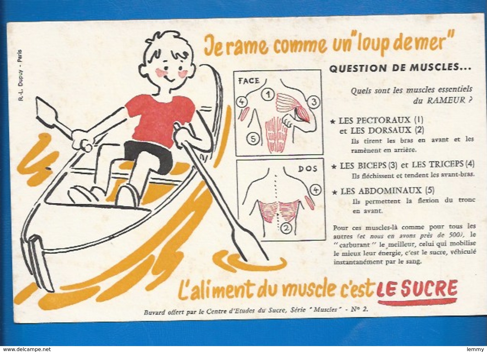 BUVARD - ENFANTS - SANTÉ - JE RAME...MES MUSCLES DE RAMEUR... - Enfants