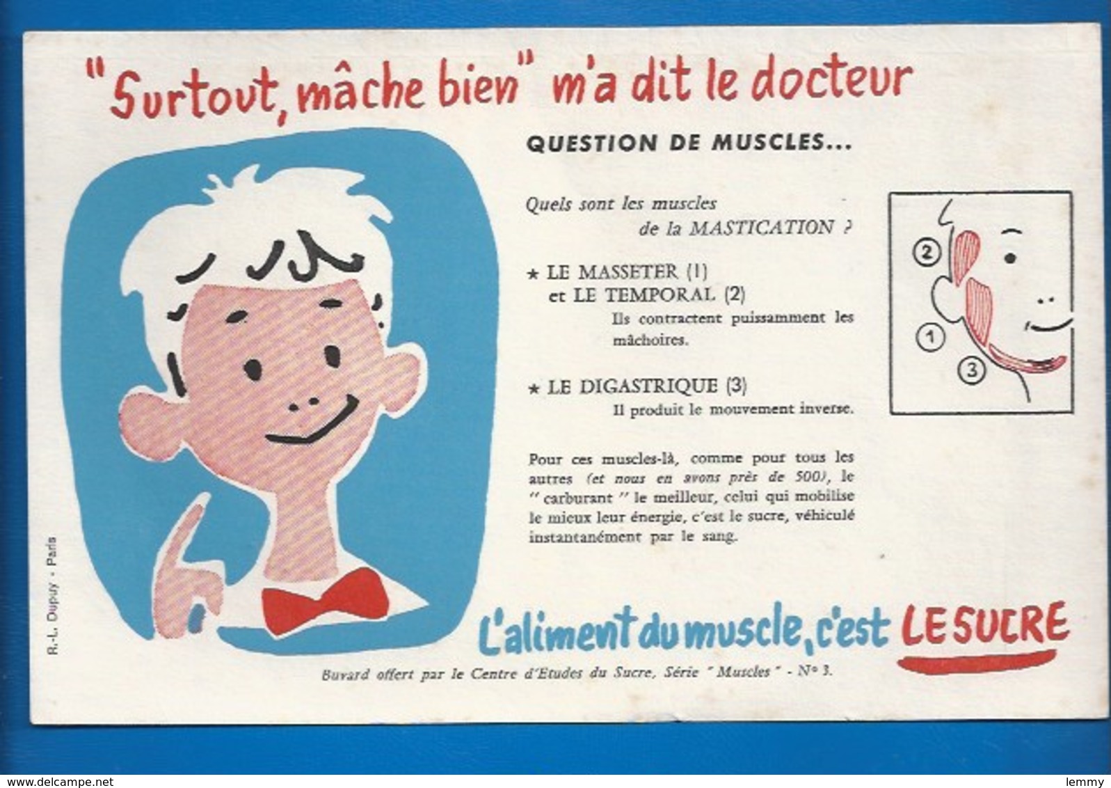 BUVARD - ENFANTS - SANTÉ - MÂCHE BIEN... ENCORE DES MUSCLES... - Enfants