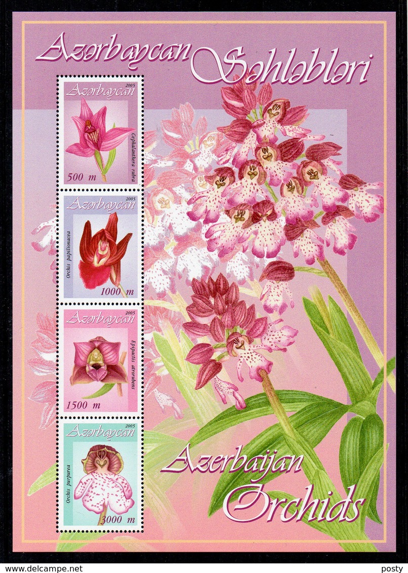 AZERBAIDJAN - BLOC-FEUILLET - MINIATURE SHEET - 2005 - FLEURS - FLOWERS - ORCHIDS - ORCHIDEES - - Azerbaïdjan