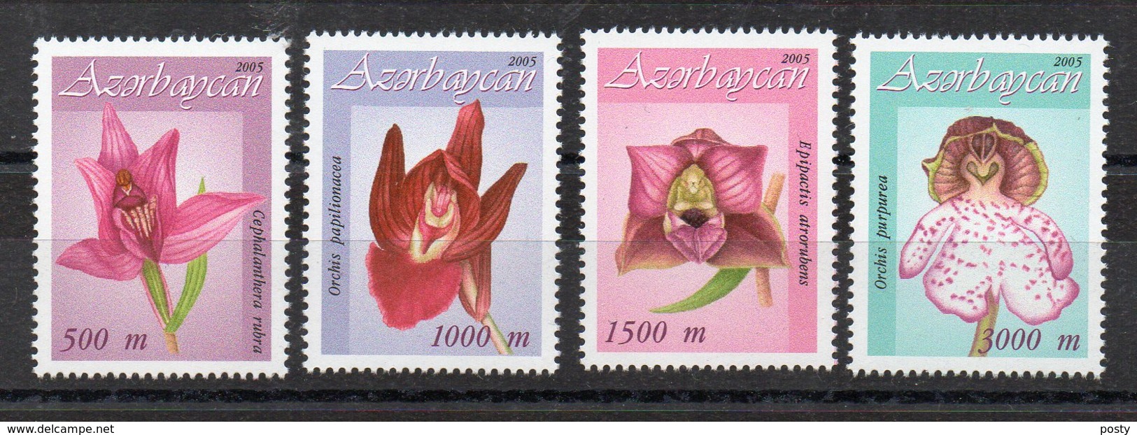 AZERBAIDJAN - 2005 - FLEURS - FLOWERS - ORCHIDS - ORCHIDEES - - Azerbaïdjan