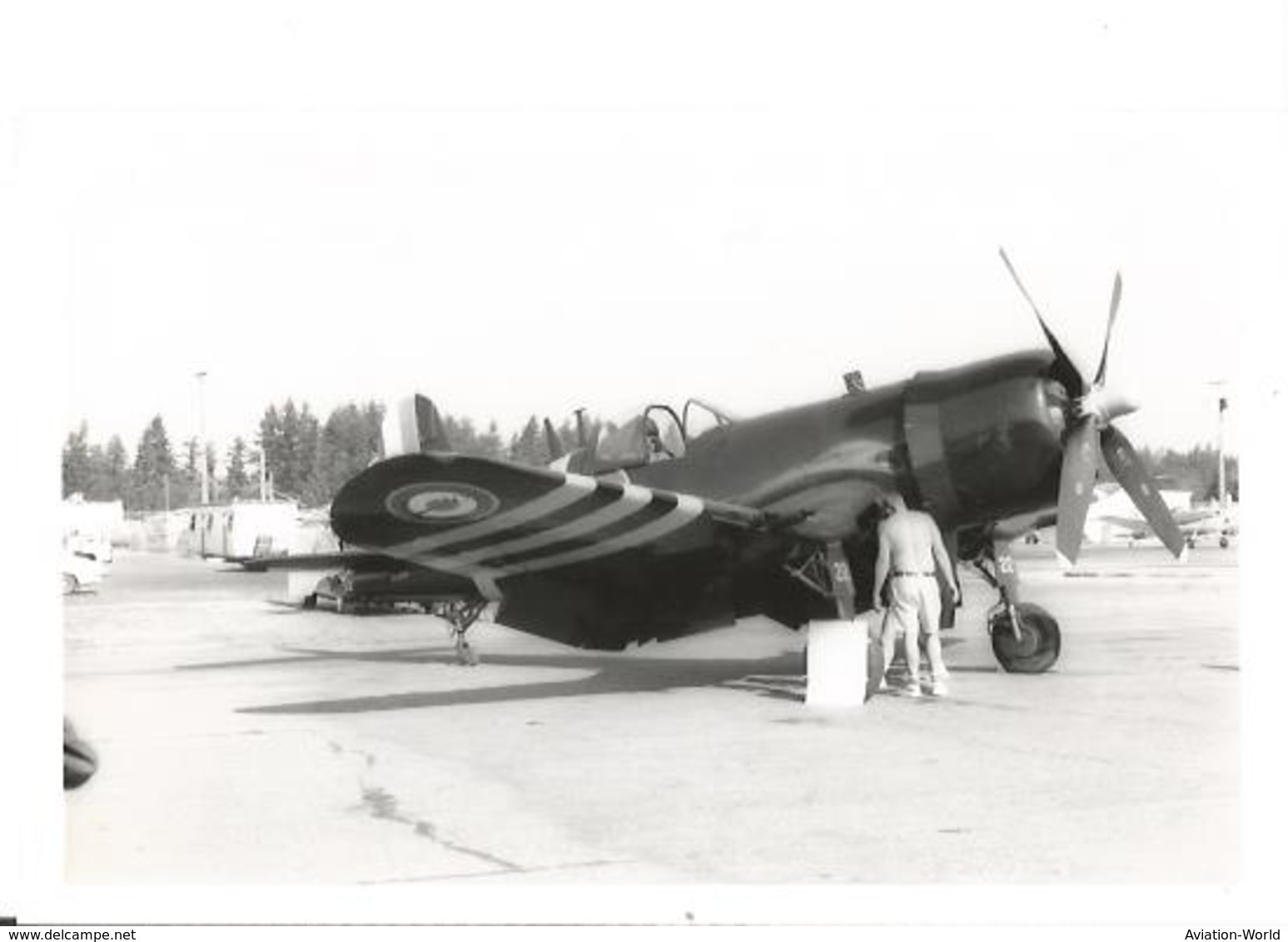 PHOTO AVION VOUGHT F4U-7 NX1337A AERONAVALE  ABBOTSFORD 1977      13X8CM - 1946-....: Modern Tijdperk