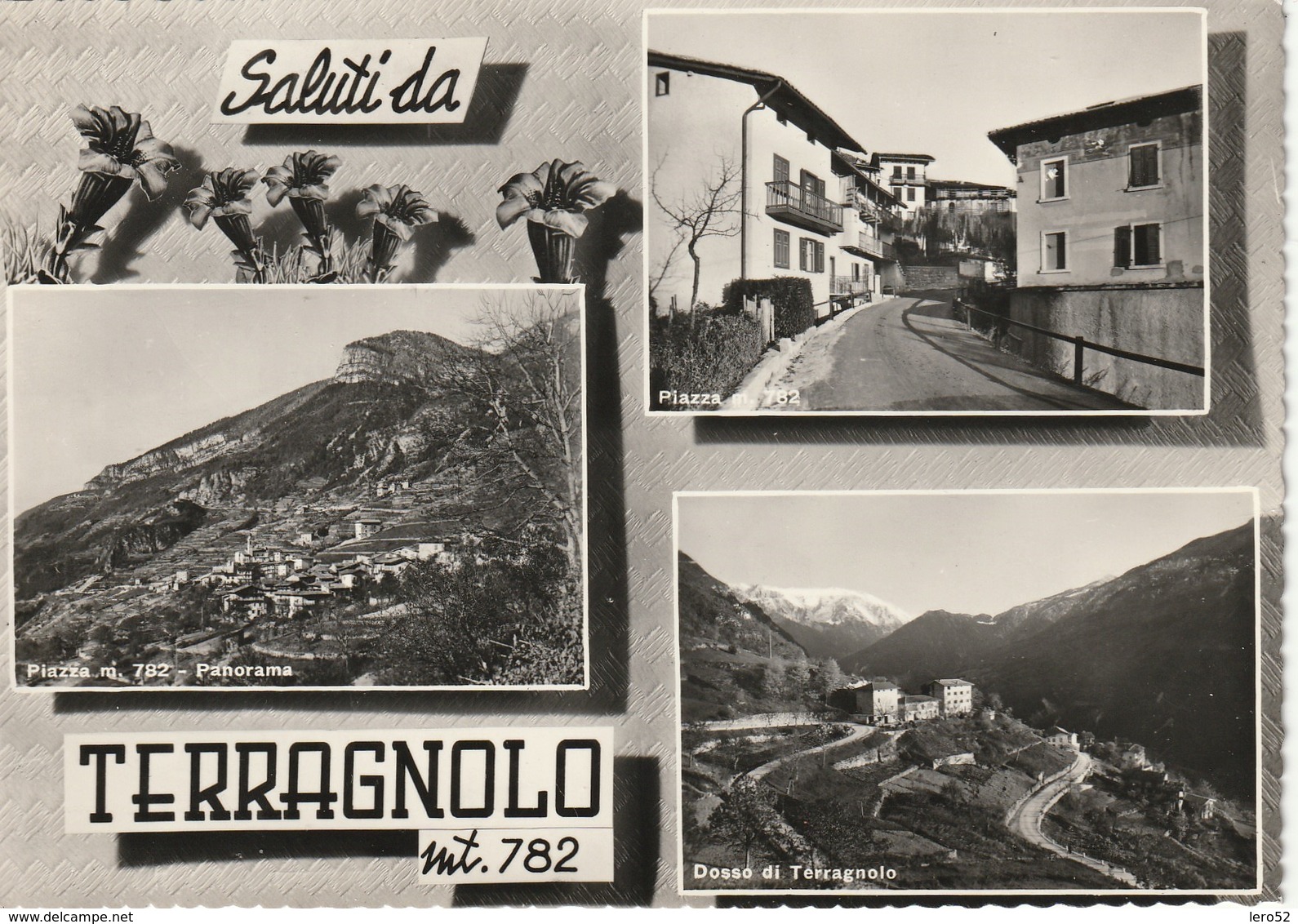 SALUTI DA TERRAGNOLO VEDUTINE DI PIAZZA E DOSSO ANNO 1964 VIAGGIATA - Trento