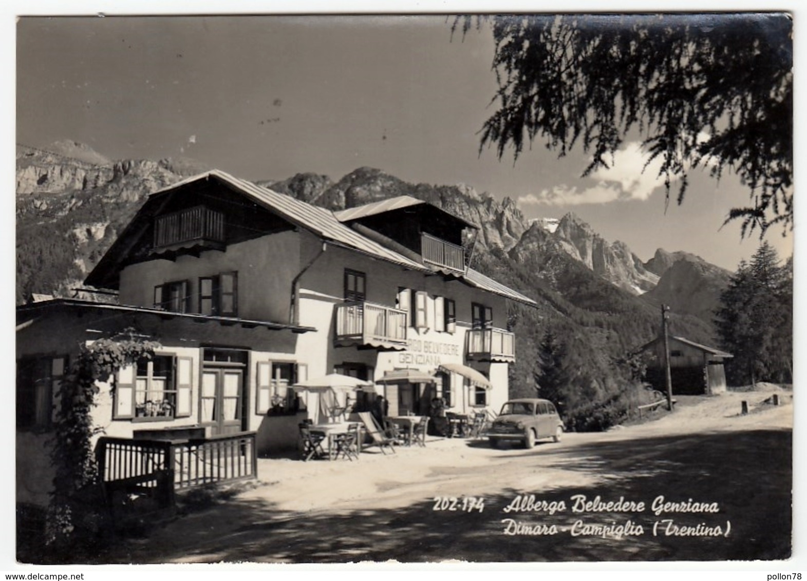 ALBERGO BELVEDERE GENZIANA - DIMARO - CAMPIGLIO - TRENTO - 1957 - AUTOMOBILI - CARS - FIAT 600 - Trento