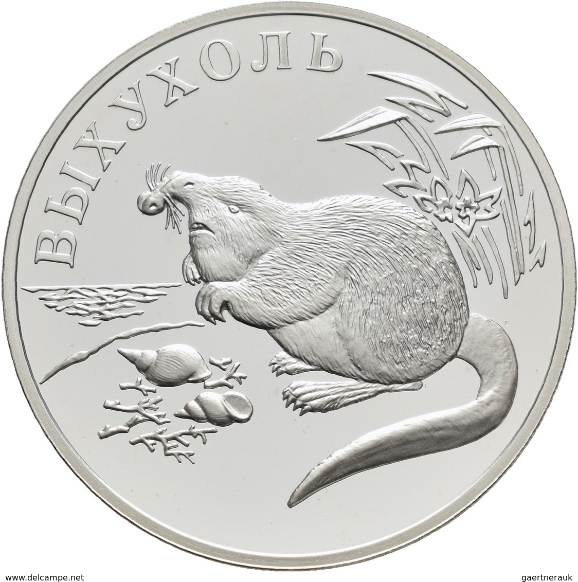 Russland: 1 Rubel 2000, Serie Wildlife (Bedrohte Tierwelt) Bisamrüssler / Ratte, KM# Y 721. 17,44 G, - Rusland