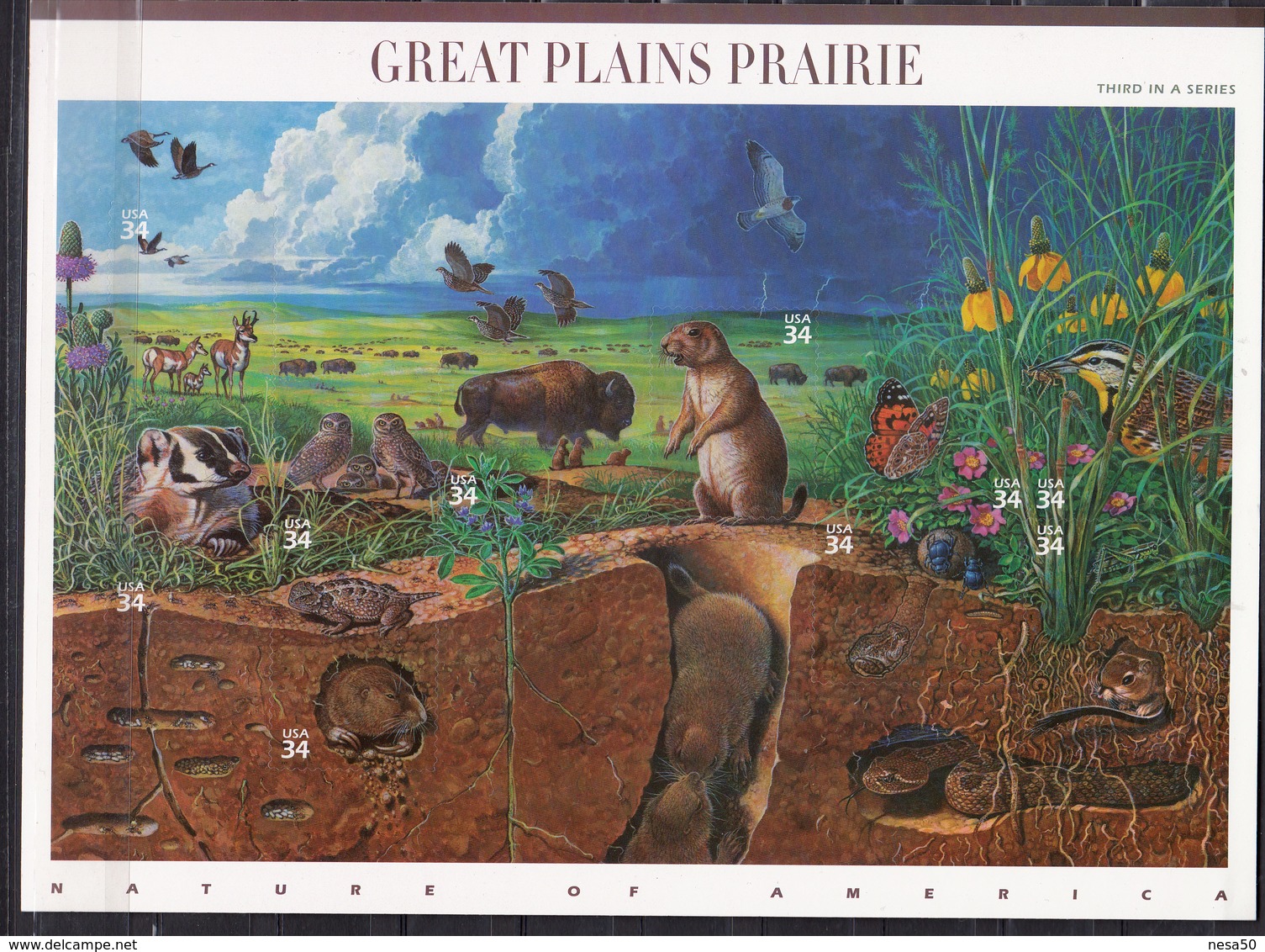 USA 2001 Mi Nr 3450 - 3459; Great Plains Prairie Nr 3,  Bizon, Uil, Owl, Bird, Flower - Nuovi