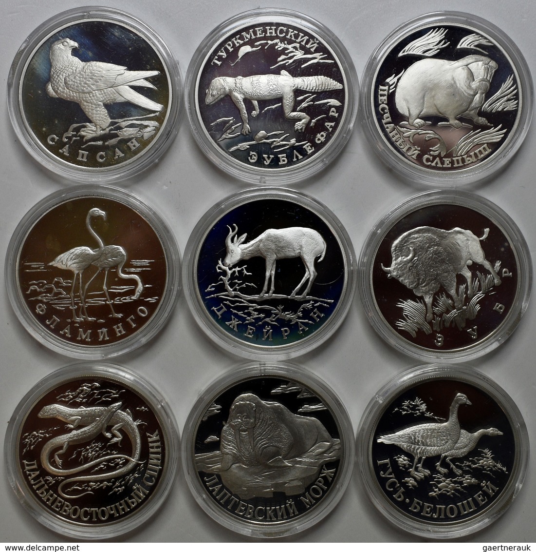 Russland: Serie Wildlife (Bedrohte Tierwelt), Lot 9 Münzen Zu 1 Rubel 1996 - 1998: Wanderfalke, Geck - Rusland