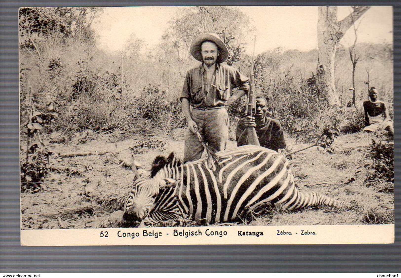 CONGO - ENTIER STIBBE 43 - VUE 52 CHASSE ZEBRE - NEUF- PL8 - Entiers Postaux