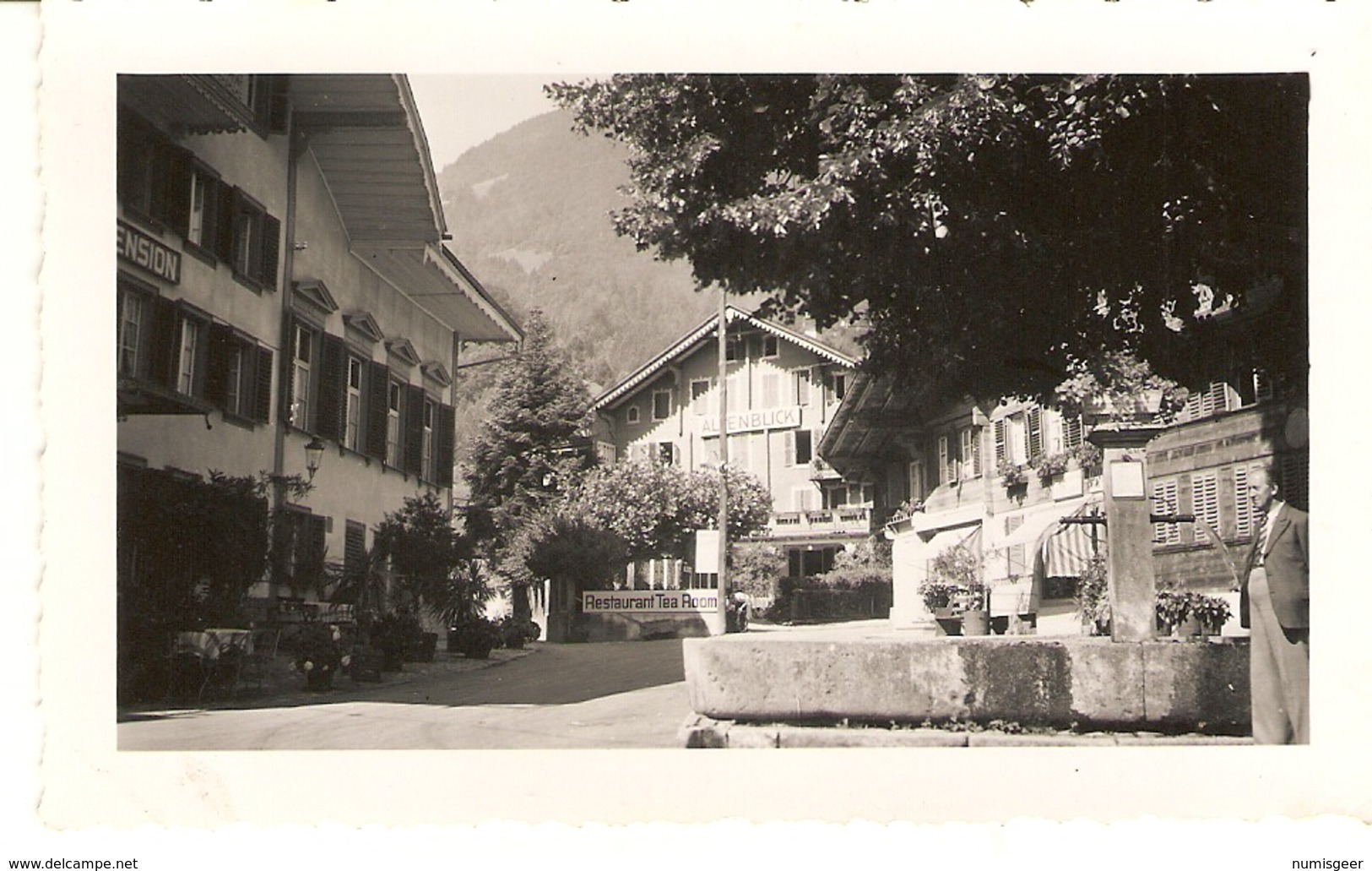 SUISSE  ( Berne )  Wilderswit - Fontaine De La Place Et Hôtel Alpenblik ( Format: 12 X7.5 ) - Lieux